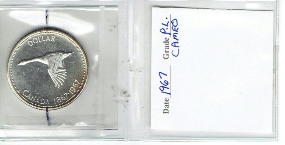 Looking-To-Confirm-Grade-Of-1967-Possible-Diving-Goose?